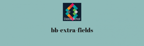 bb-extra-fields